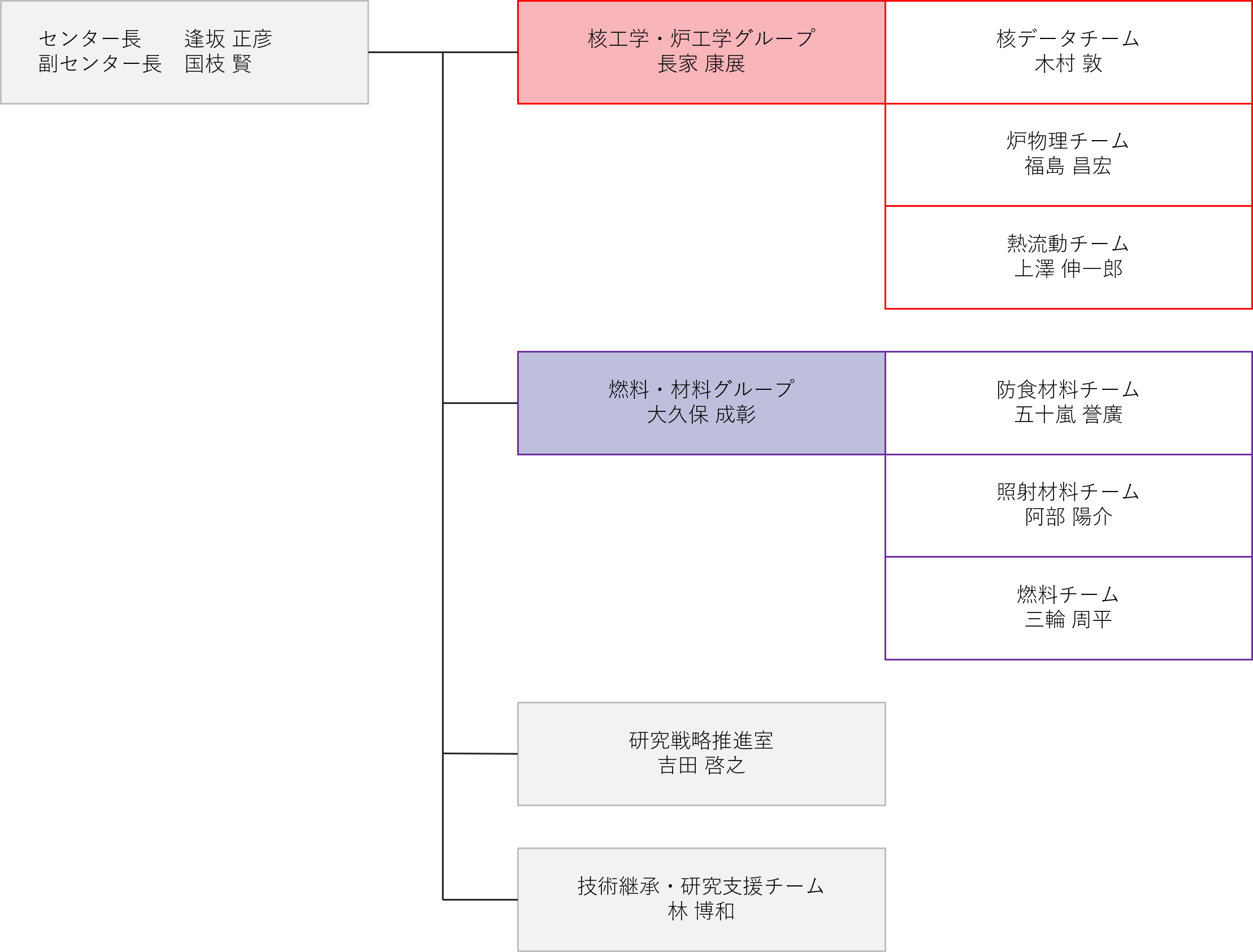 軽水炉工学研究センター 組織図