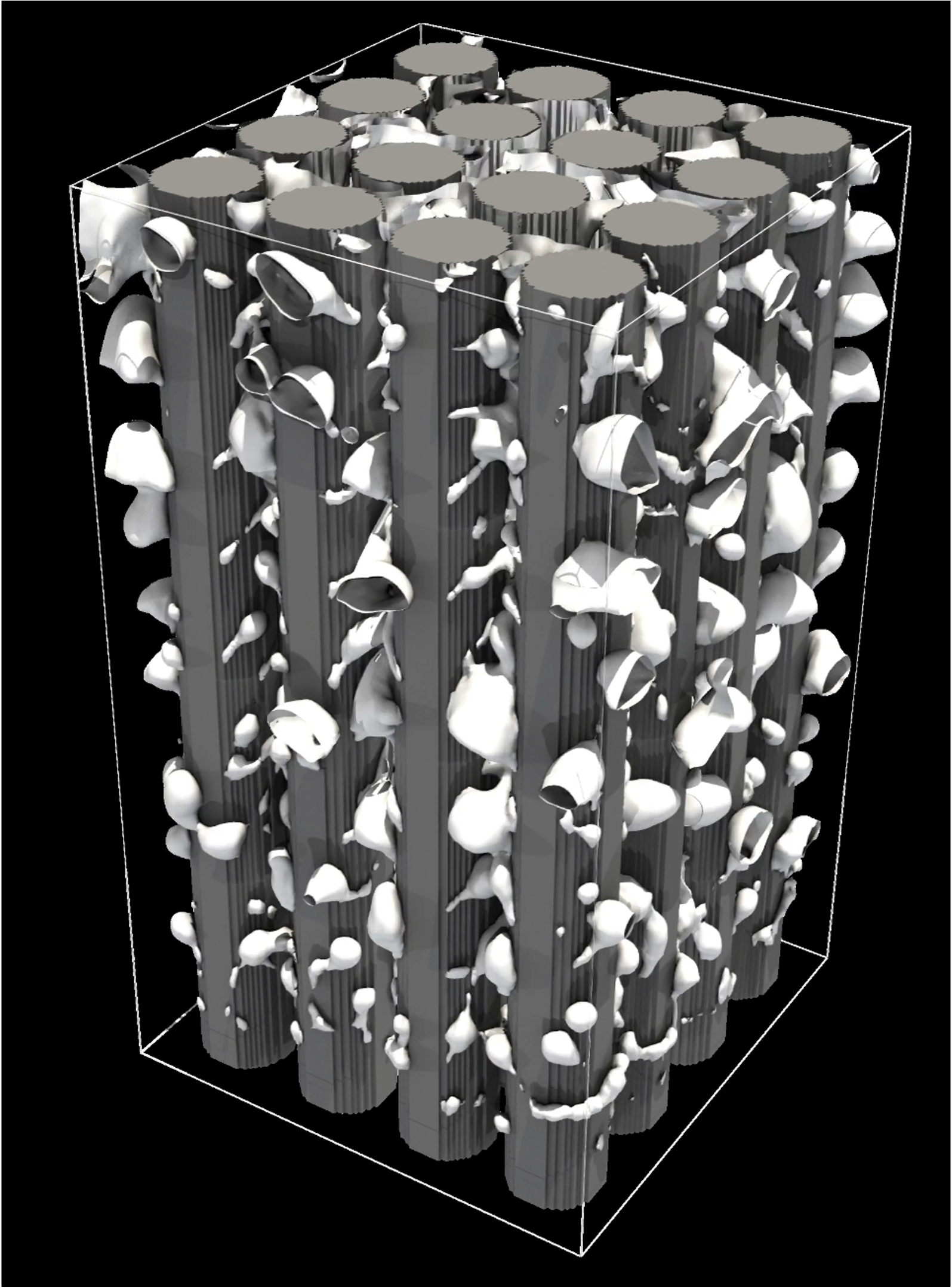 Visualization of reactor thermal-hydraulics phenomena (1)