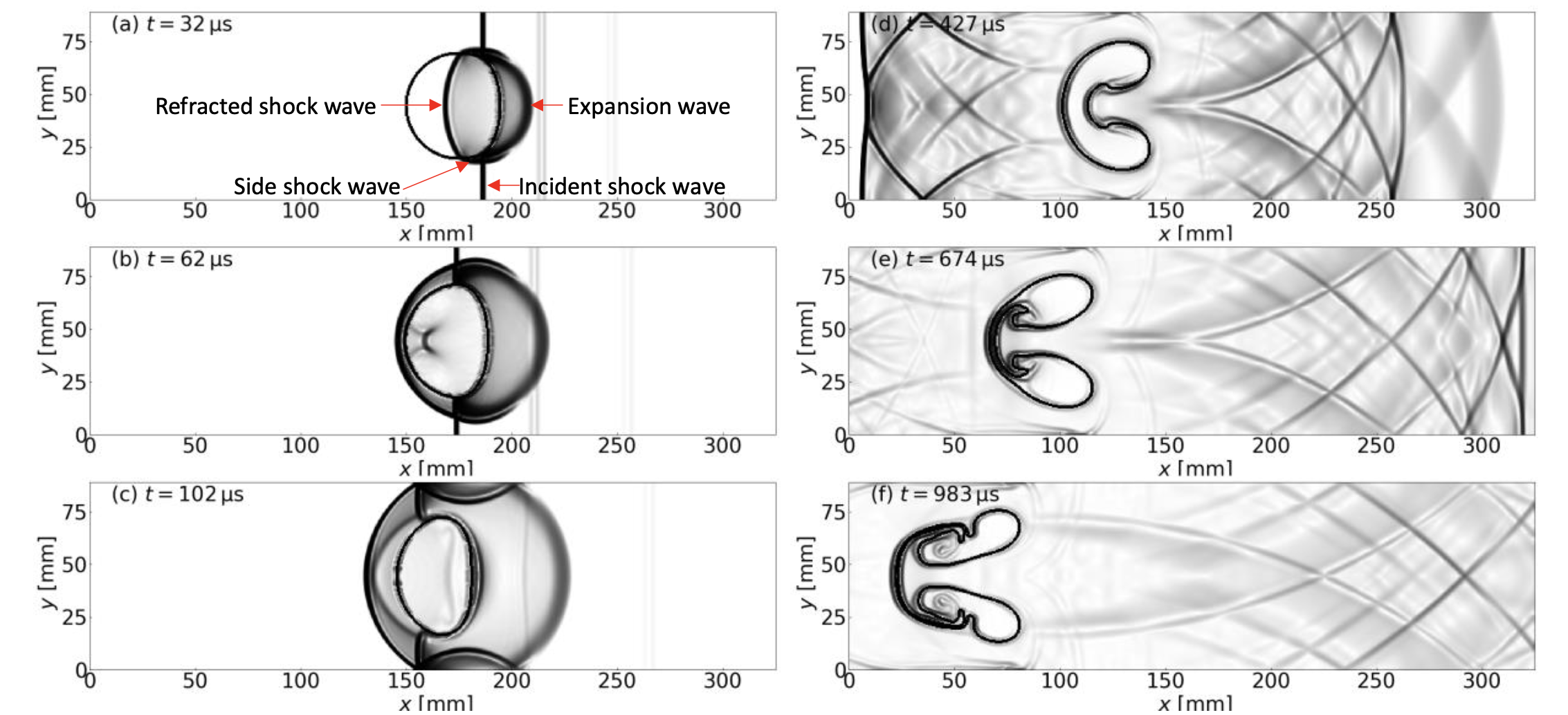 Visualization of reactor thermal-hydraulics phenomena (3)
