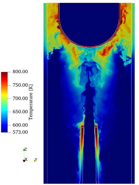 Visualization of reactor thermal-hydraulics phenomena (4)